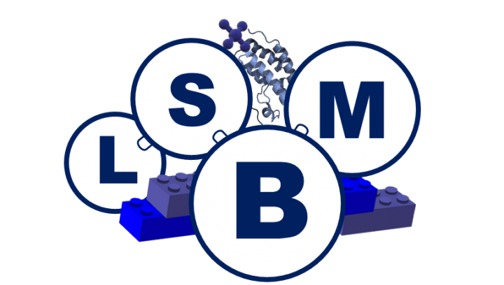 Laboratory of Synthesis of Bioinspired Molecules